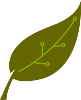 ecowatt logo leaf